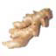 Ginger